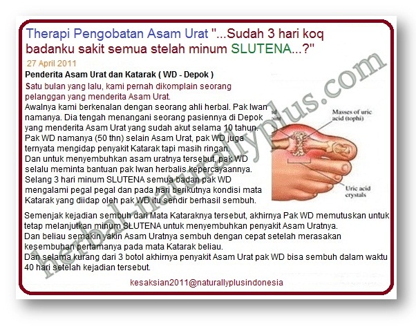 Herbal untuk Mandul Asam Urat Herbal untuk Mandul