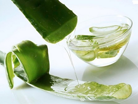 Aloe Vera Extract