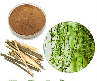 SALIX ALBA BARK EKSTRAK