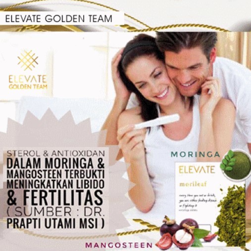 Morileaf Elevate